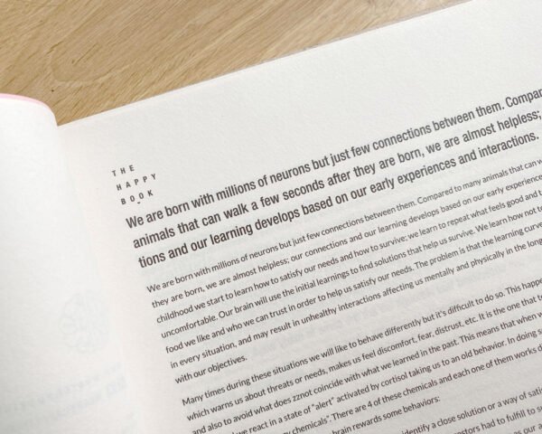 Gratitude and mindfulness journal